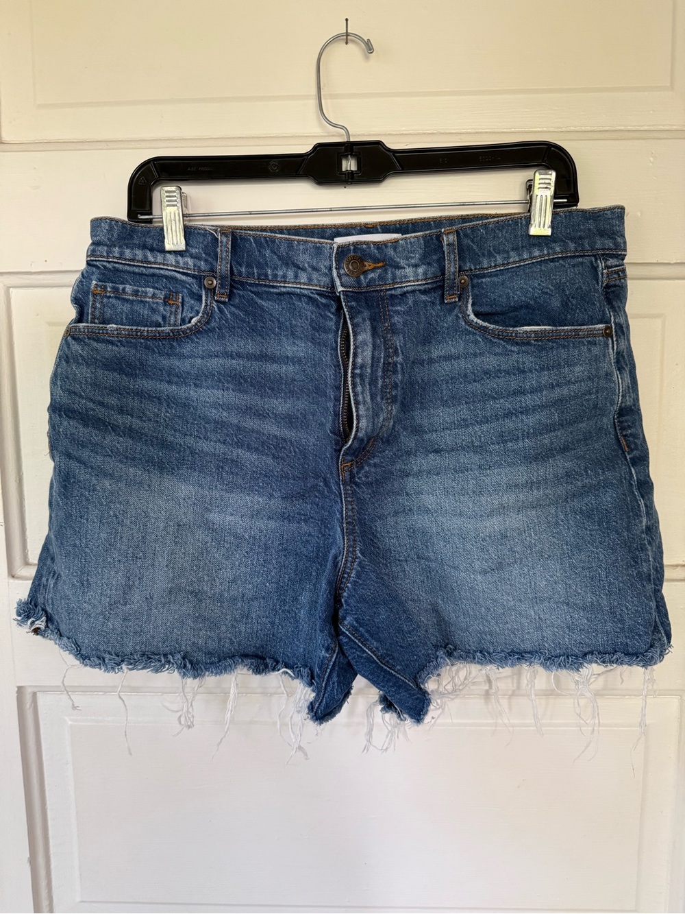 LOFT-Size 8- Classic Blue Denim Cutoff Shorts - Women's